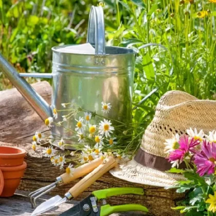 Productos de jardín