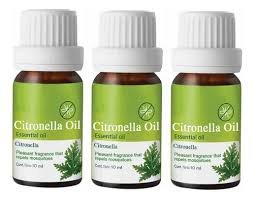 OIL FRAGANCE CITRONELLA