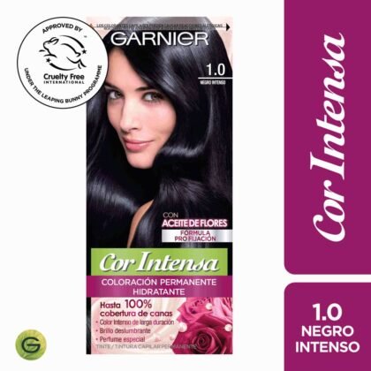GARNIER COR INTENSA 1.0